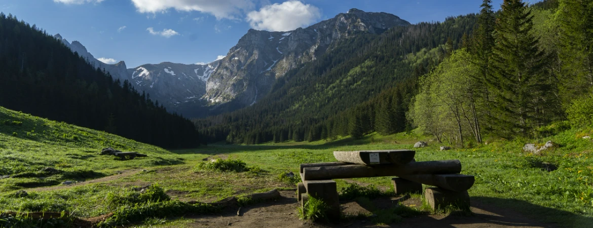 Dolina Małej Łąki